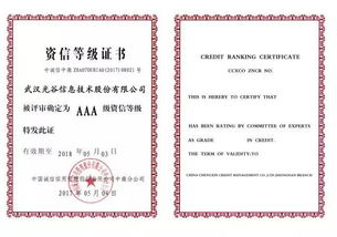 光谷信息2017 聚前行,夢遠航 信息系統(tǒng)集成服務(wù)